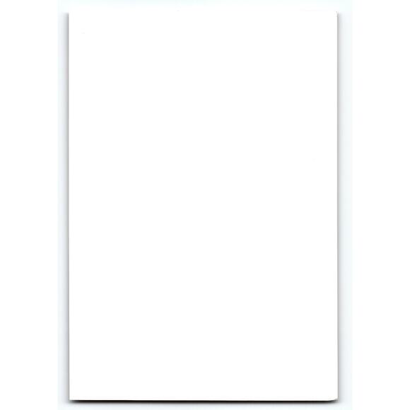 Vintage Halloween Postcard Sepia Photo Girl Witch Black Cat Pumpkin Goth - Picture 2 of 2